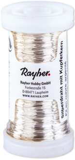Rayher hobby materialen Bloemendraad of ijzerdraad - zilver - 0.4 mm dik - 100 meter snoer - metaaldraad