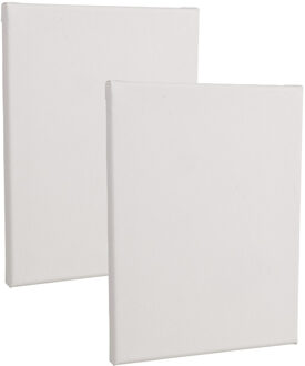 Rayher hobby materialen Handbespannen canvas schildersdoek - 2x - 18 x 24 cm - wit - schilderijen maken