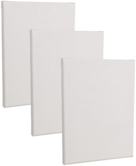 Rayher hobby materialen Handbespannen canvas schildersdoek - 3x - 18 x 24 cm - wit - schilderijen maken