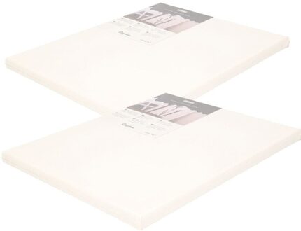 Rayher hobby materialen Hobby/knutsel Schildersdoek - 2x - handbespannen - 24 x 30 cm - canvas/katoen