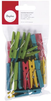 Rayher hobby materialen Kleine Houten knijpers - 24x stuks - gekleurd mix - 4,5 cm