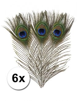 Rayher hobby materialen Nepveren/sierveren - Pauwen veren - 6x stuks - gekleurd - 25 cm