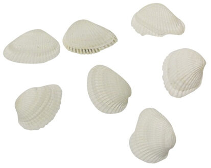 Rayher hobby materialen Rayher hobby decoratie schelpen/schelpjes - parelmoer/wit - afmeting 2 cm - 250 gram netje