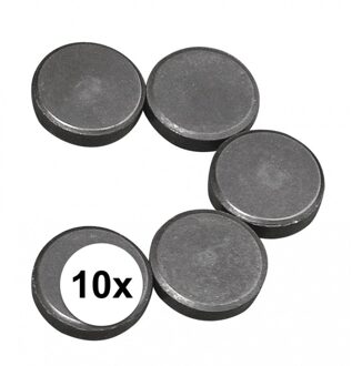 Rayher hobby materialen Rayher hobby en knutselen magneten - 10x stuks - formaat D20 x H5 mm - metaal - rond