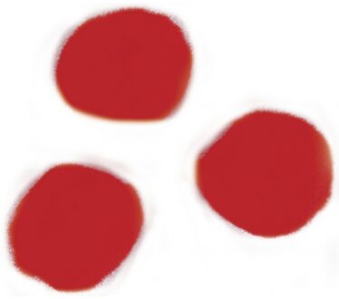 Rayher hobby materialen Rayher Hobby knutsel pompons - 15 mm - rood - 60x stuks - vormen/figuren/bolletjes