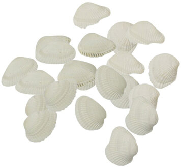 Rayher hobby materialen Rayher hobby schelpen - 4x - 250 gram - decoratie schelpjes - parelmoer/wit - afmeting 2 cm