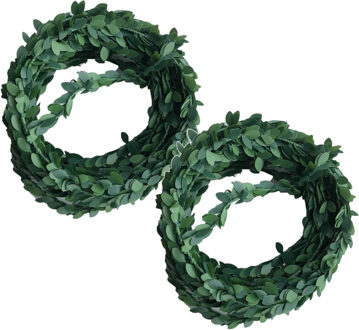 Rayher hobby materialen Rayher Knutsel Guirlande slinger - 3x - kunststof - 500 cm - buxus - hobby materiaal