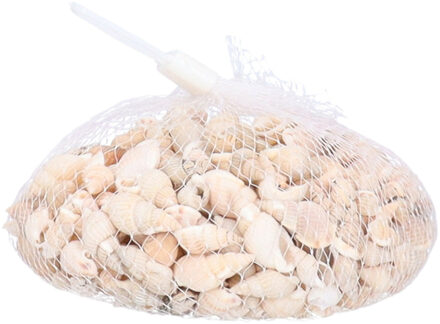 Rayher hobby materialen Rayher Schelpjes - posthoorn schelpen - decoratie - 150 gram - maritiem