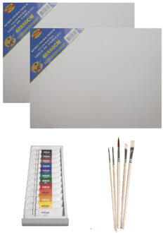 Rayher hobby materialen Schilders verf set van 12x tubes acrylverf/hobbyverf 12 ml + 2x canvas doek + 5x kwasten - Hobbyverf Multikleur