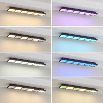 Raymie LED plafondlamp, lengte 84 cm, RGBW wit, mat zwart
