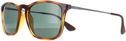 RB4221 622/8G - zonnebril - Zwart / Grijs Gradiënt - 50mm