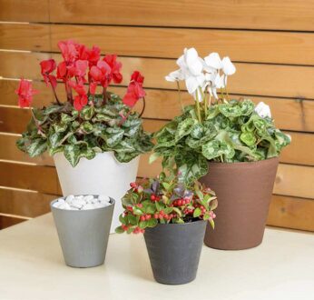 RE-POT Hoop Round 20