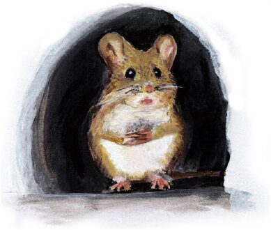 Realistische 3D Mouse Muursticker Muis In Een Gat Muurtattoo Gat Art Wall Sticker Vinyl Decal Muis Thuis Plint board Verwijderbare