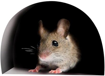 Realistische 3D Mouse Muursticker Muis In Een Gat Muurtattoo Gat Art Wall Sticker Vinyl Decal Muis Thuis Plint board Verwijderbare