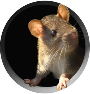 Realistische 3D Mouse Muursticker Muis In Een Gat Muurtattoo Gat Art Wall Sticker Vinyl Decal Muis Thuis Plint board Verwijderbare