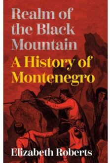 Realm Of The Black Mountain - Roberts, Elizabeth