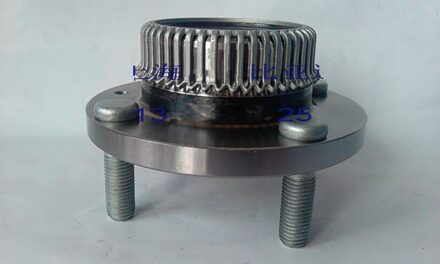 Rear Wheel Hub Bearing Voor Byd F3 L3 G3 G3R F3R drum brake