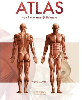 Rebo Productions Atlas van het menselijk lichaam - Boek Studio Imago (9036630657)
