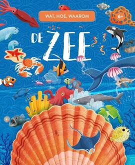 Rebo Productions De Zee - Wat, Hoe, Waarom - Giuali Pesavento