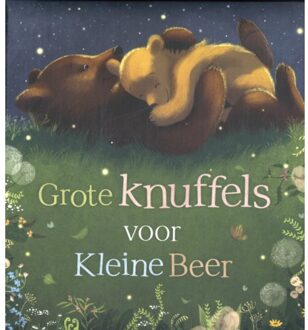 Rebo Productions Grote Knuffels Voor Kleine Beer - Stephanie Moss