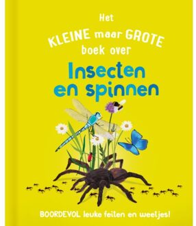 Rebo Productions Het Kleine Maar Grote Boek Over Insecten En Spinnen - Catherine Brereton