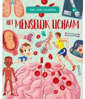Rebo Productions Het Menselijk Lichaam - Wat, Hoe, Waarom