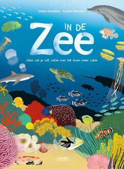 Rebo Productions In de zee