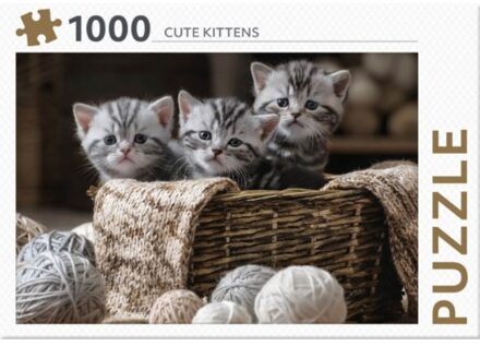 Rebo Productions legpuzzel Cute Kittens 1000 stukjes