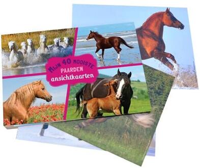 Rebo Productions Mijn 40 mooiste paarden - Boek Rebo Productions (903663301X)