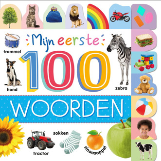 Rebo Productions Mijn Eerste 100 Woorden Boek