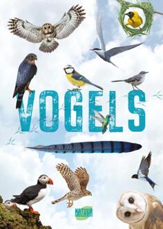 Rebo Productions Natuurgids Natuuronderzoekers Vogels | Rebo Productions