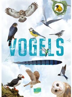 Rebo Productions Natuuronderzoekers Vogels - Natuuronderzoekers