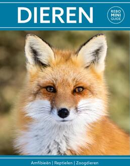 Rebo Productions Rebo Rebo Mini guide - Dieren - (ISBN:9789036637923)