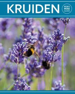 Rebo Productions Rebo Rebo mini guide - Kruiden - (ISBN:9789036643979)