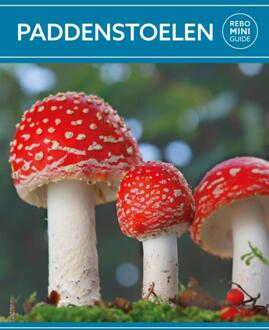 Rebo Productions Rebo Rebo mini guide - Paddenstoelen - (ISBN:9789036643993)