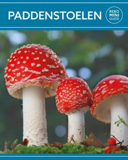 Rebo Productions Rebo Rebo mini guide - Paddenstoelen - (ISBN:9789036643993)