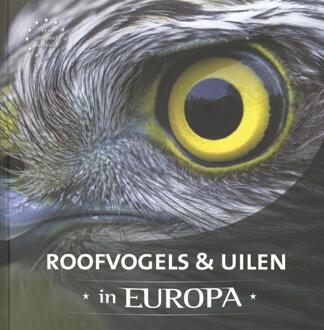 Rebo Productions Roofvogels & Uilen In Europa - (ISBN:9789036630870)