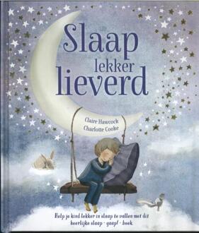 Rebo Productions Slaap lekker lieverd - Boek Rebo Productions (1527011763)