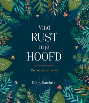 Rebo Productions Vind Rust In Je Hoofd - Rémy Dambron