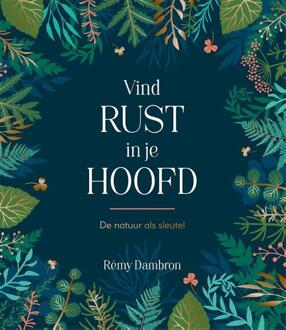 Rebo Productions Vind Rust In Je Hoofd - Rémy Dambron