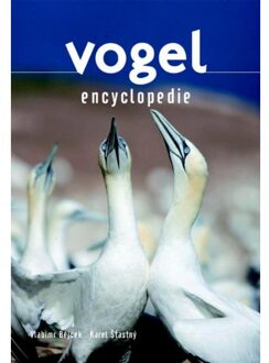 Rebo Productions Vogel encyclopedie - Boek Vladimír Bejček (9036629632)