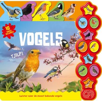 Rebo Productions Vogels - 10-Geluidenboek - Rebo Productions B.V.