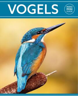 Rebo Productions Vogels - Rebo Mini guide - (ISBN:9789036637947)