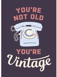 Rebo Productions You're Not Old, You're Vintage