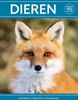 Rebo Rebo Mini guide - Dieren - (ISBN:9789036637923)