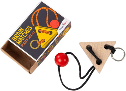 Recent Toys Brain Matches Puzzle Box 1