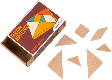 Recent Toys Brain Matches Puzzle Box 4
