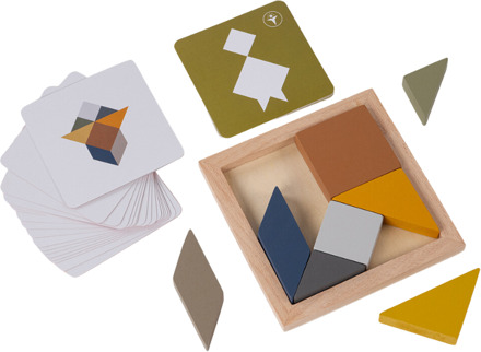 Recent Toys Tangram 4 Elements Earth