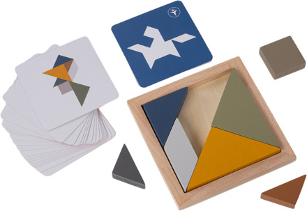Recent Toys Tangram 4 Elements Water