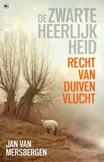 Recht van duivenvlucht - Jan van Mersbergen - ebook